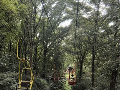 -WeLope紫金山探险公园