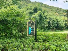 -南沙高尔夫球会