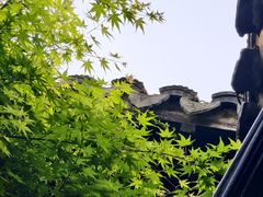 -花迹·金陵南京菜(老门东店)