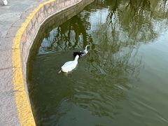 -团结湖公园