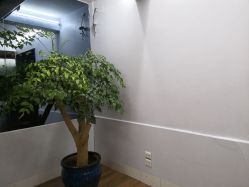 -印·Style造型创始店