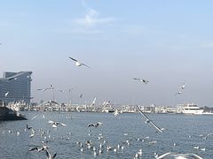 -日照世帆赛基地
