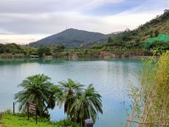 -水濂山森林公园