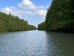 -上海海湾国家森林公园