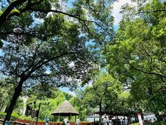 -岳麓山风景名胜区