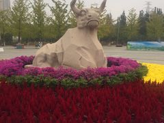 -永定河休闲森林公园