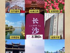 -杜甫江阁