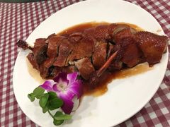 -朝郡酒家·粤菜(燕大星苑店)