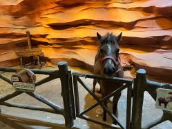 -酷嗒动物文化乐园(cutezoo西溪乐天城店)