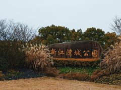-新江湾城公园