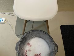 -艾通康缘艾灸.疼痛.睡眠养生馆(凤凰城店)