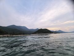 -杨梅坑