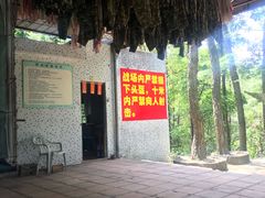 景点-广州市流溪河国家森林公园