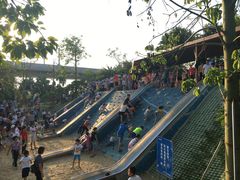 -宝安西湾红树林湿地公园