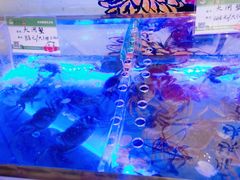 -番食园鲜食火锅(高新店)