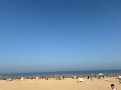 -日照海滨国家森林公园