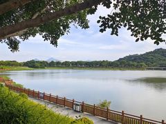 -风云岭森林公园