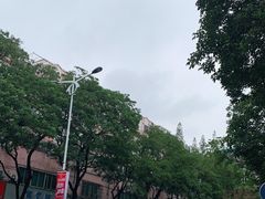 -阿男野栗王(金门路店)