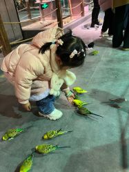 点击看大图 -酷嗒动物文化乐园(cutezoo西溪乐天城店)