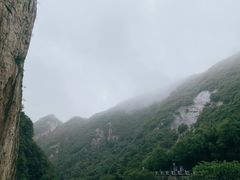 -沣峪口