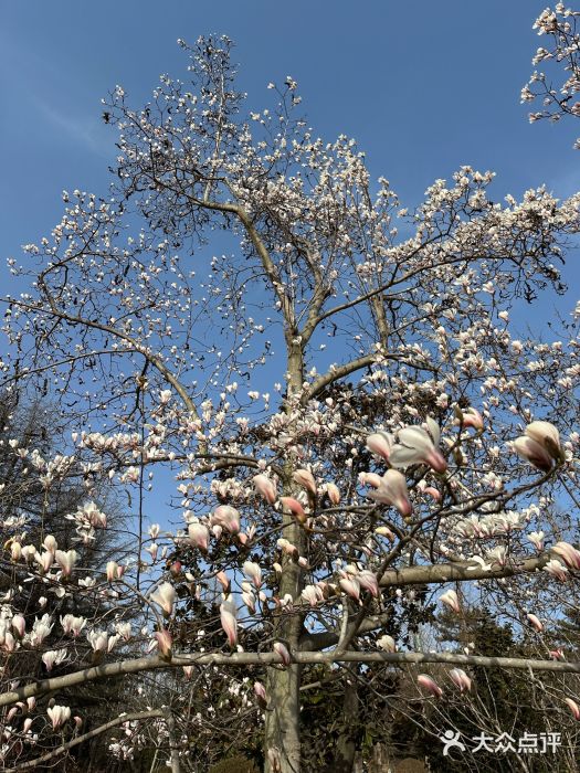 青岛动物园图片