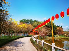 -天适樱花悠乐园