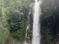-莫里热带雨林景区