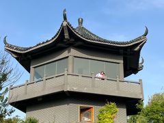 -盐城丹顶鹤湿地生态旅游区