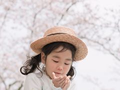 -羊山湖公园