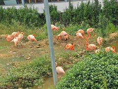 -无锡动物园·太湖欢乐园