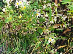 -碓臼峪自然风景区