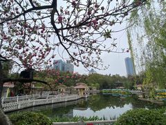 -绵阳人民公园(涪城区)