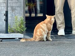 -曲廊院(东四十一条店)