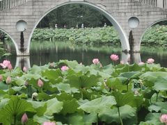 -雀儿山公园