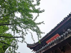 -鸡鸣赐茶(鸡鸣寺路店)
