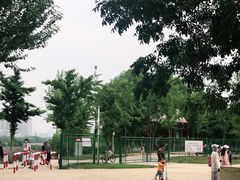 -长白岛森林公园