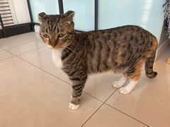 -平行世界·猫咖(首经贸店)