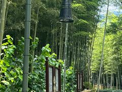 -黄公望隐居地