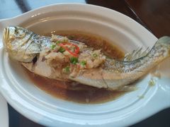 -彩丰楼·中餐厅(国家会展中心上海洲际店)