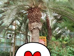 -石家庄市植物园