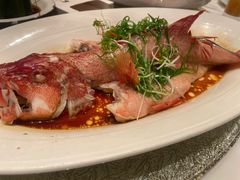 -粤珍轩.创始店.始于2001(含光门店)