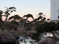 -罗红摄影艺术馆