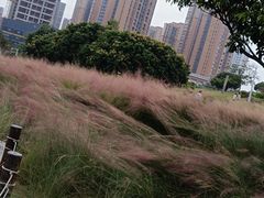-红花山公园