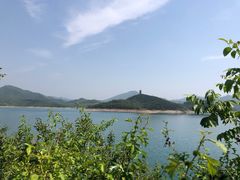 -望湖烤鱼