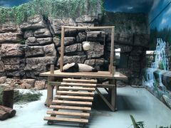 -大青山野生动物园