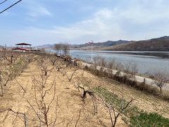 -毛岸英学校