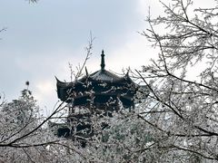 -临平公园(临平街道)