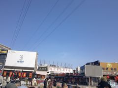-中环花鸟鱼虫市场