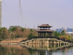 -洋湖国家湿地公园