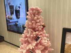 -奈雪的茶(观前街店)